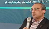 بازار مکمل در باشگاه‌ها و عطاری‌ها بدون نظارت است