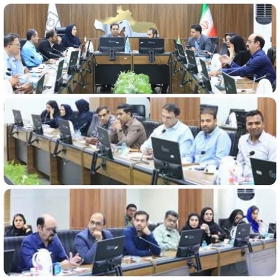 بررسی عملکرد داروخانه‌های بیمارستانی و همکاری با بخش خصوصی 
